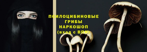 дмт Пролетарск