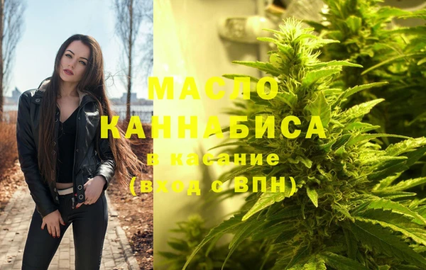 гашик Кирсанов