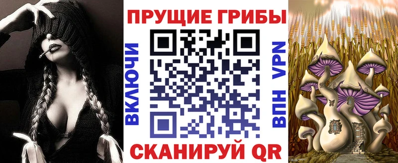 Галлюциногенные грибы Psilocybine cubensis  Агидель 